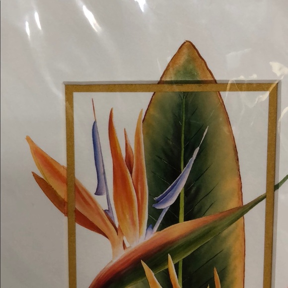 🏆2 Natalie McMahon Ltd Ed. Giclee Floral Prints - Picture 3 of 8